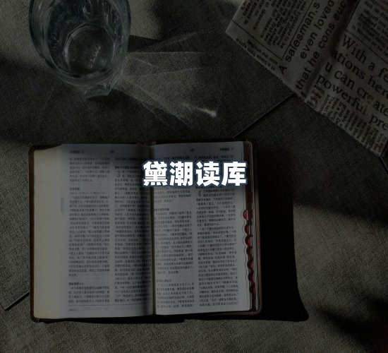 关于黛潮读库